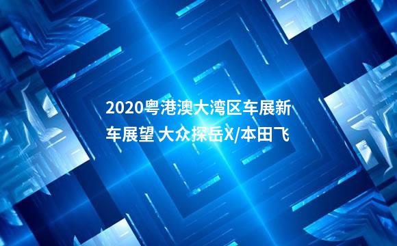 2020粤港澳大湾区车展新车展望 大众探岳X/本田飞